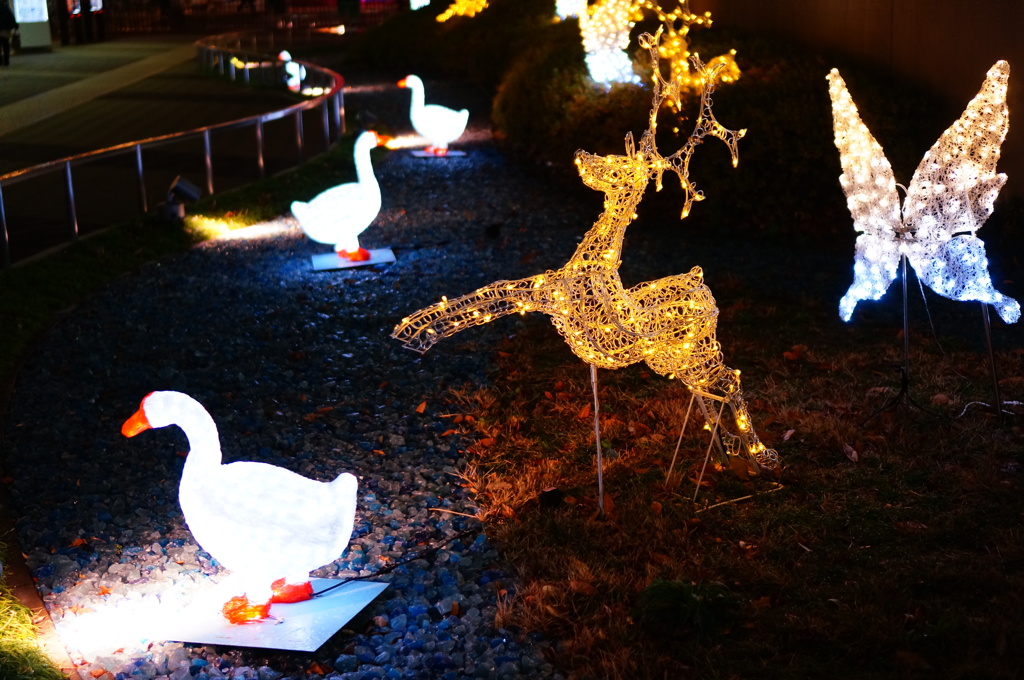 イオンイルミネーション