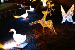 イオンイルミネーション