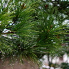 DSC02557