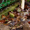 DSC02570