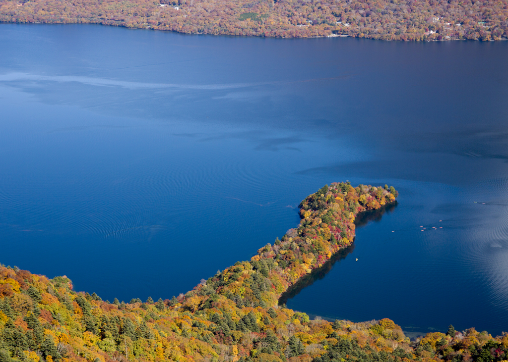 Lake of autumn leaves