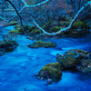 Blue Stream