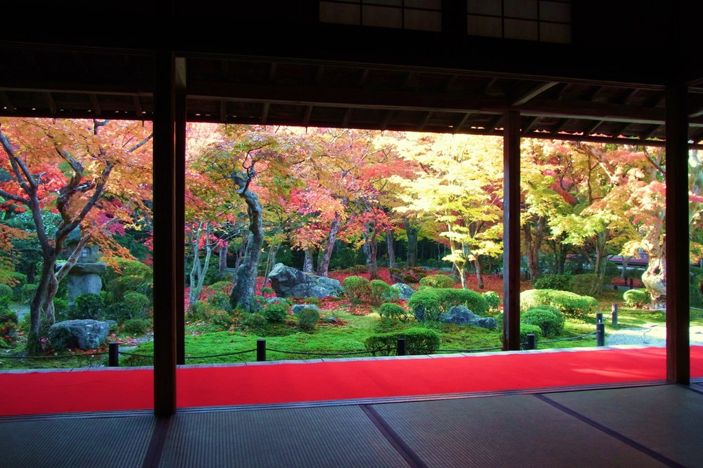 圓光寺の秋