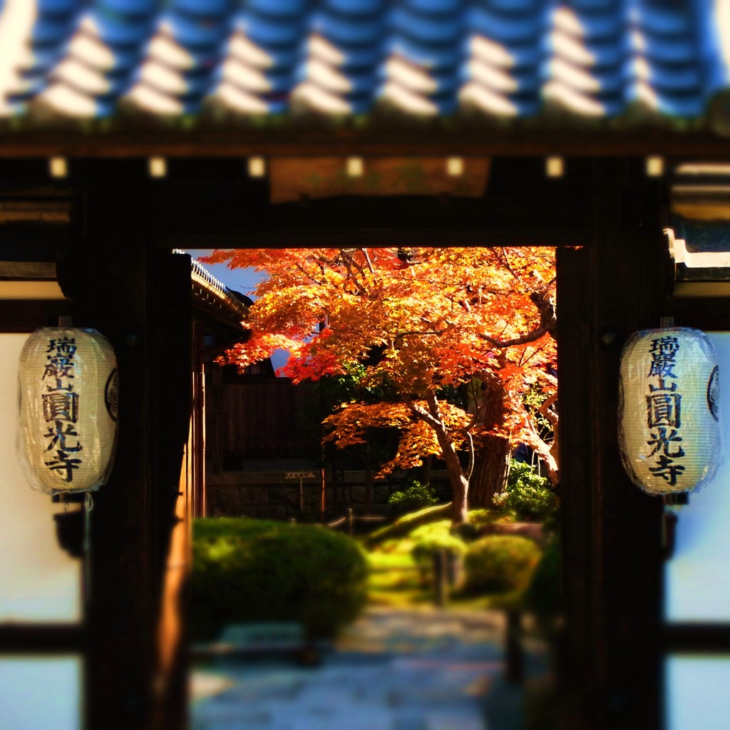圓光寺の秋