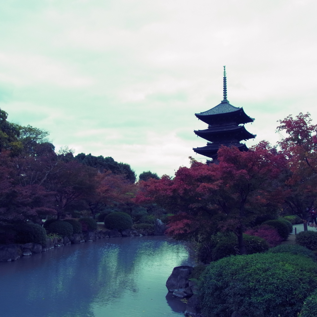東寺の秋