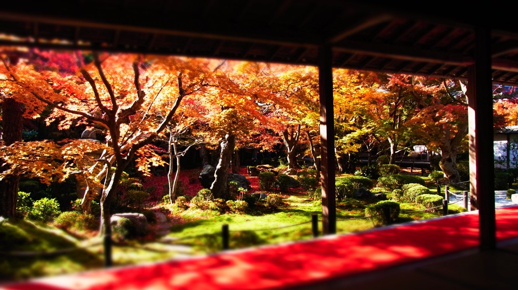 圓光寺の秋