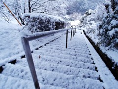 積雪