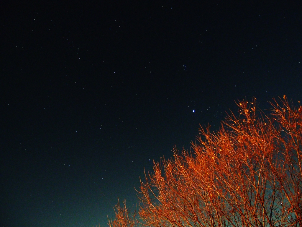 夜の公園