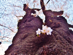 また今年も