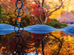 湖面に映る寺の色づき
