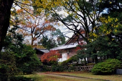 2011.12.04 紅葉 (11)
