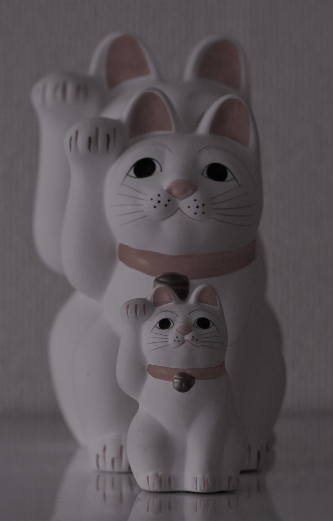 (ΦωΦ)