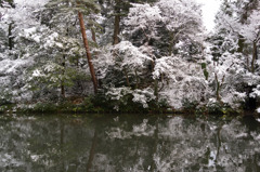 雪化粧