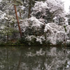 雪化粧