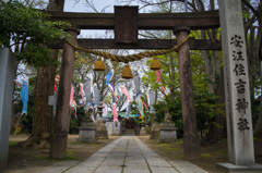 神社の鯉のぼり