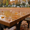 雨の公園