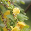 雨の馬見丘陵公園3