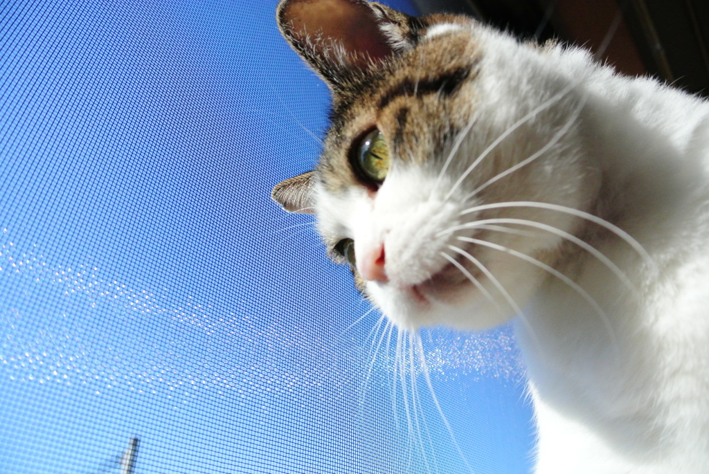 今日も眺める