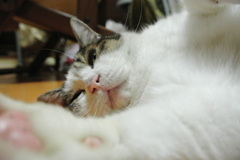んぁー