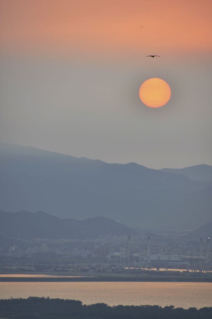 太陽より高く