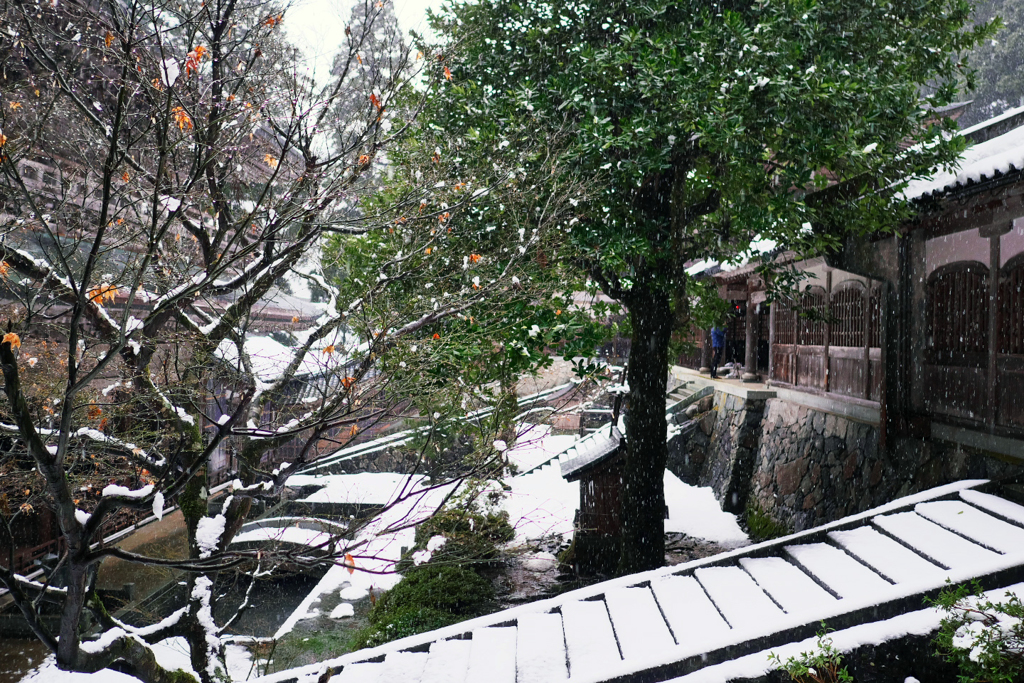 小雨のち雪