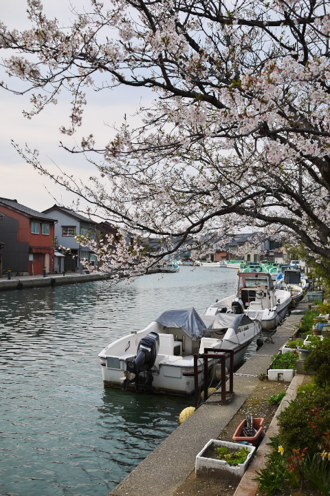 港へ通じる川沿いの街