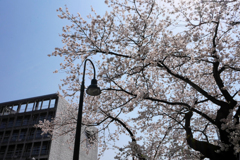 空を見上げて
