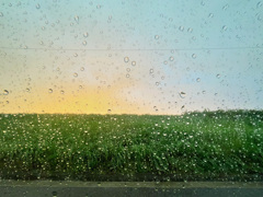通り雨