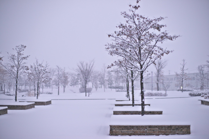 雪の公園