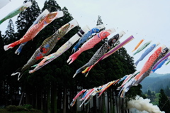 里山にて