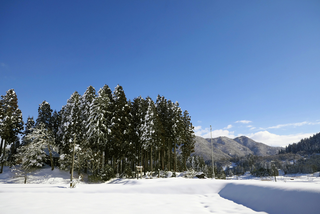 山間にて