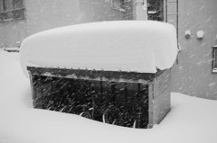 雪にも負けず・・・