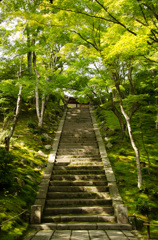 常寂光寺～参道階段～