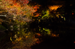 清水寺ライトアップ3