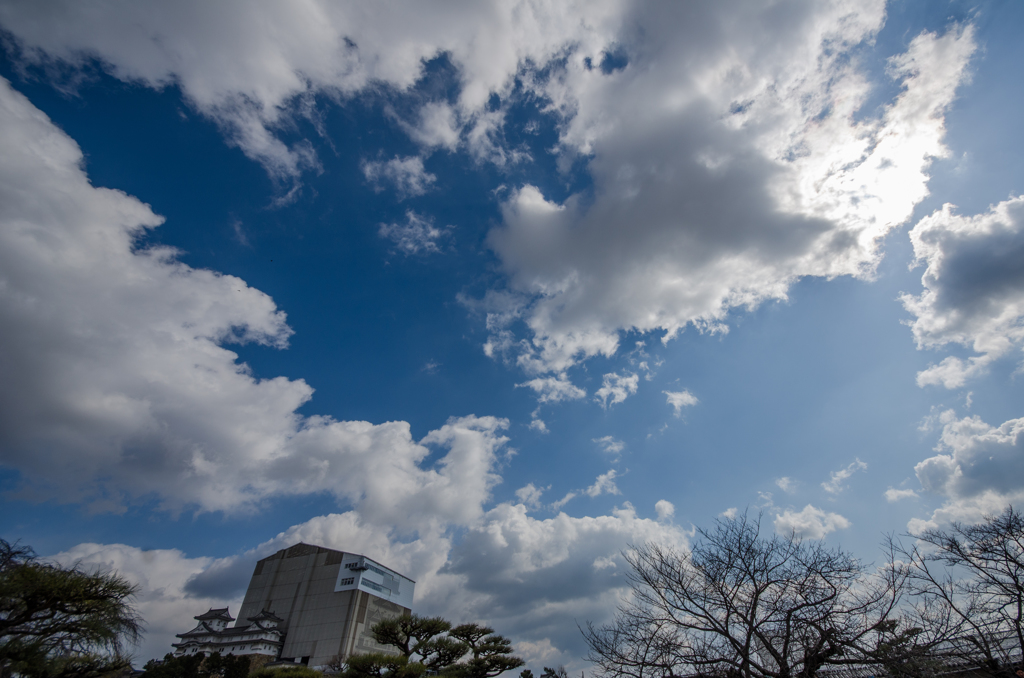 空そして改修中の姫路城...
