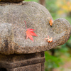 常寂光寺～灯篭と紅葉～