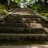 常寂光寺～階段～