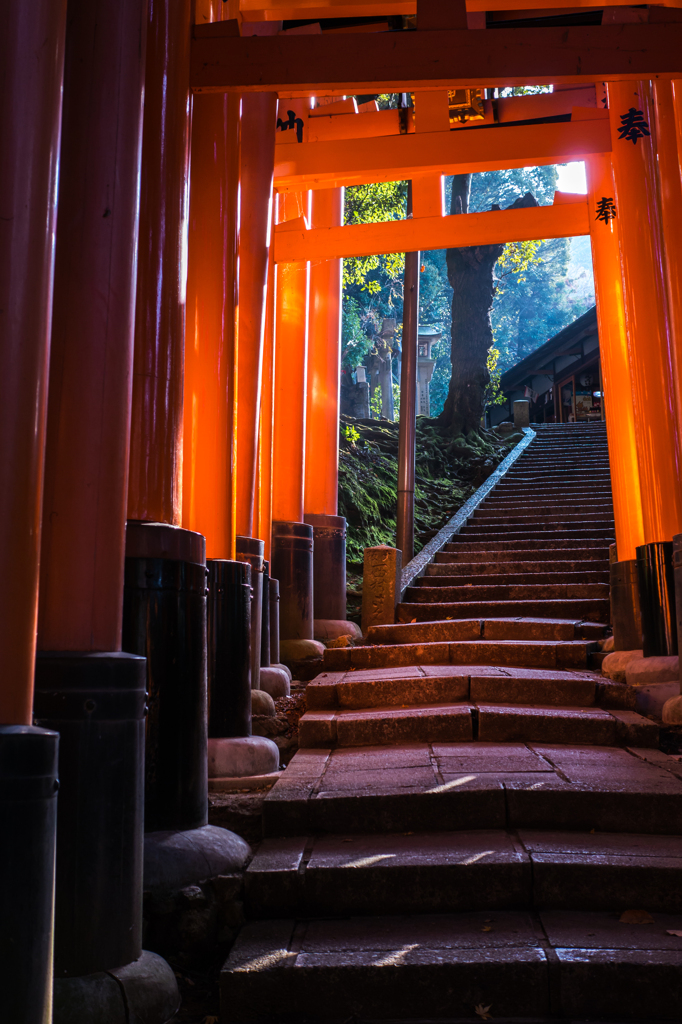 千本鳥居