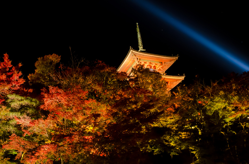 清水寺ライトアップ2