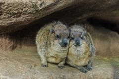 together