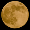 Super Moon 2013