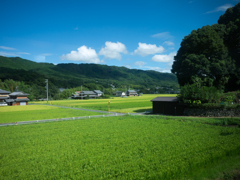 至る－伊勢－