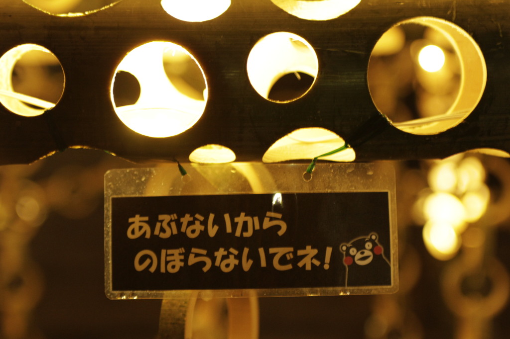 _MG_2337