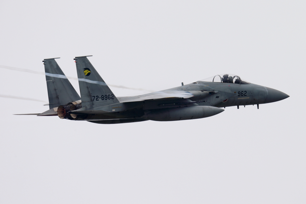 静浜基地航空祭2014　翼端ベイパー編　F-15（その１）