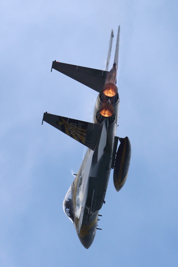 小松基地航空祭2014　F-15その2