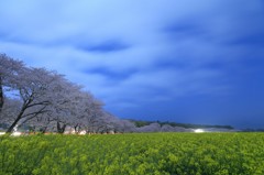 西都原の夜