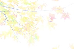 ハカナキキオク