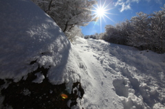 登山道を照らす