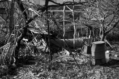 dilapidated