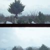 ハーフだもの